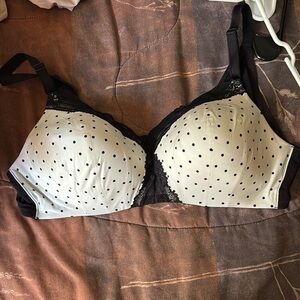 Polka Dot Lace Trim Bra
